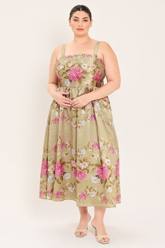 Curve Collection