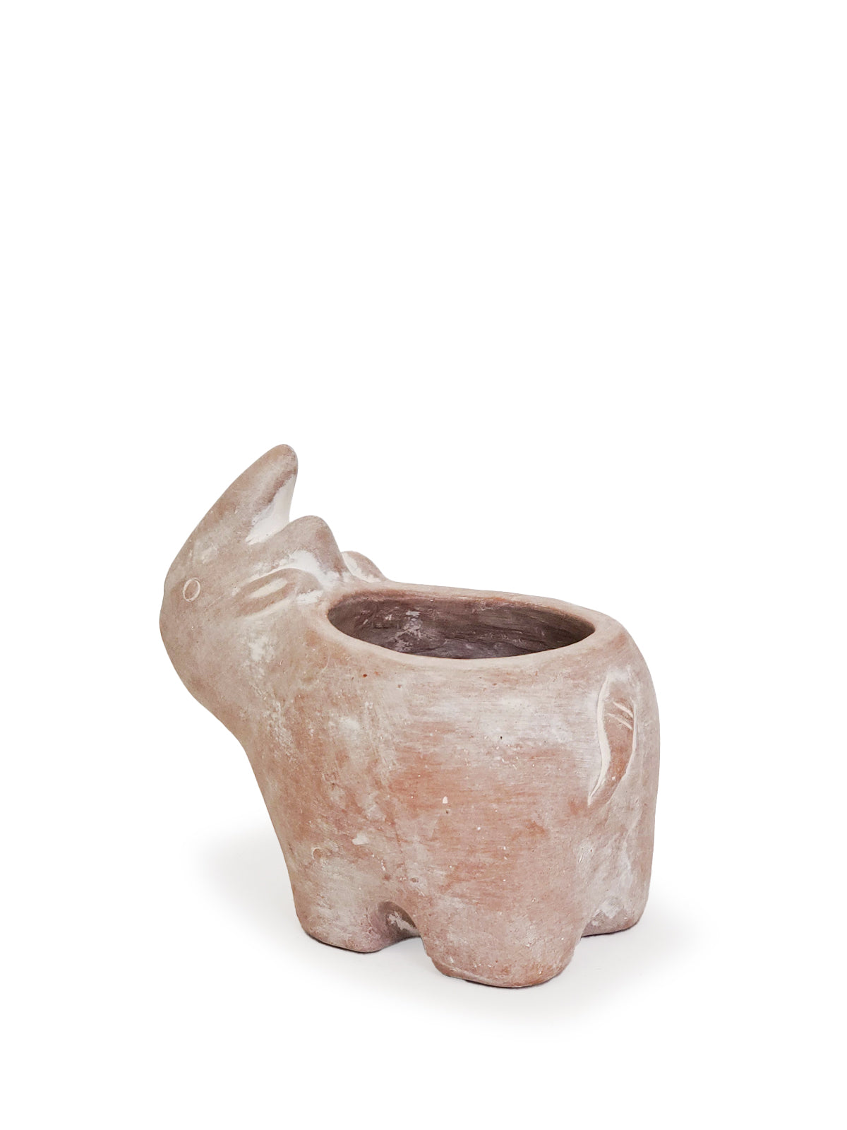 Terracotta Pot - Rhino