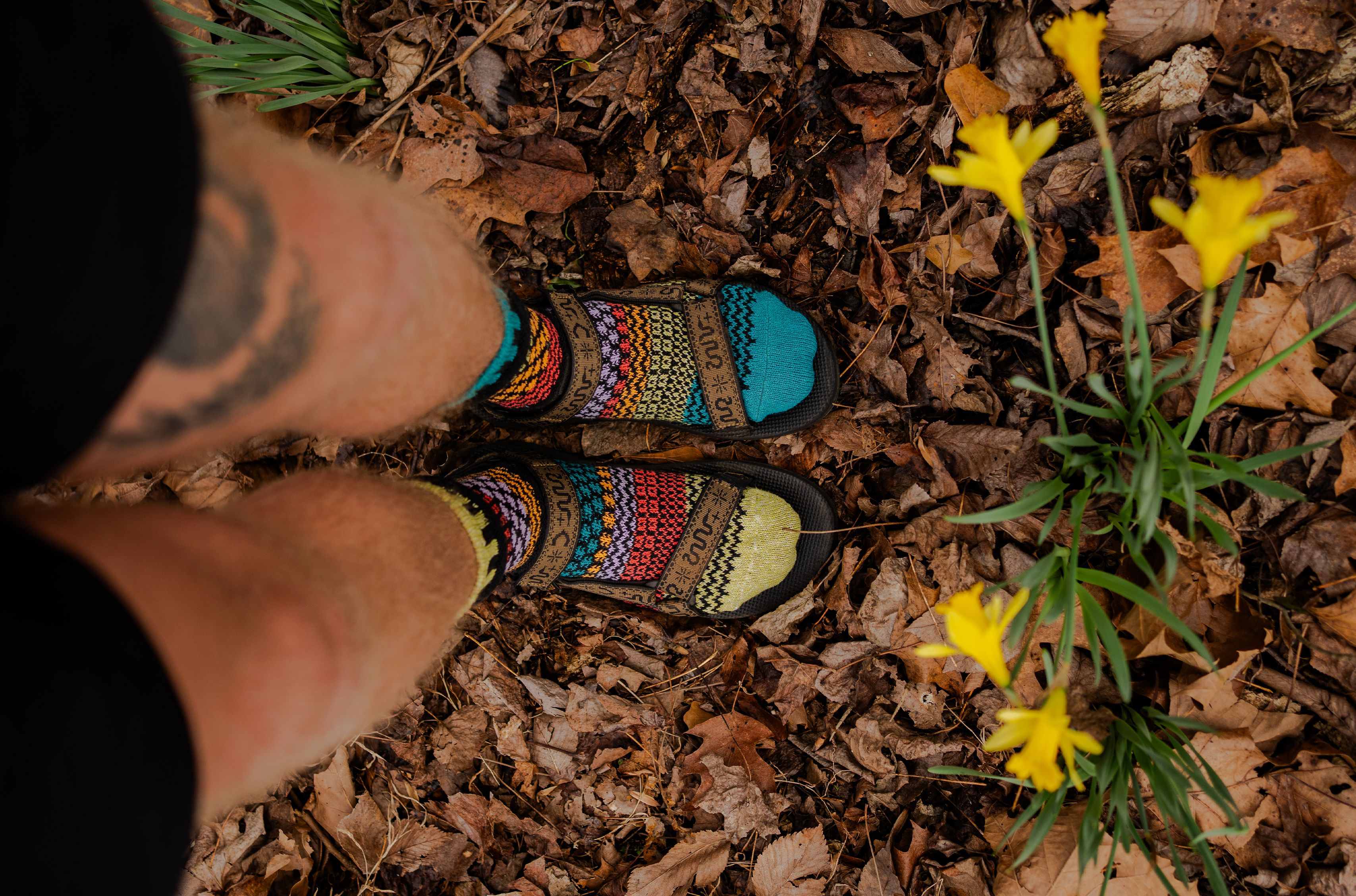 Artichoke Crew Socks