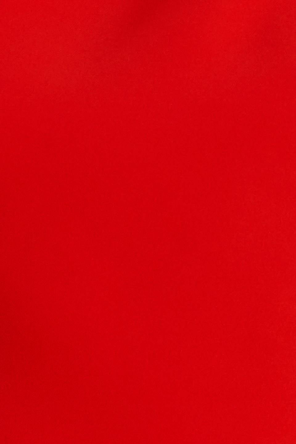 Solid red color swatch