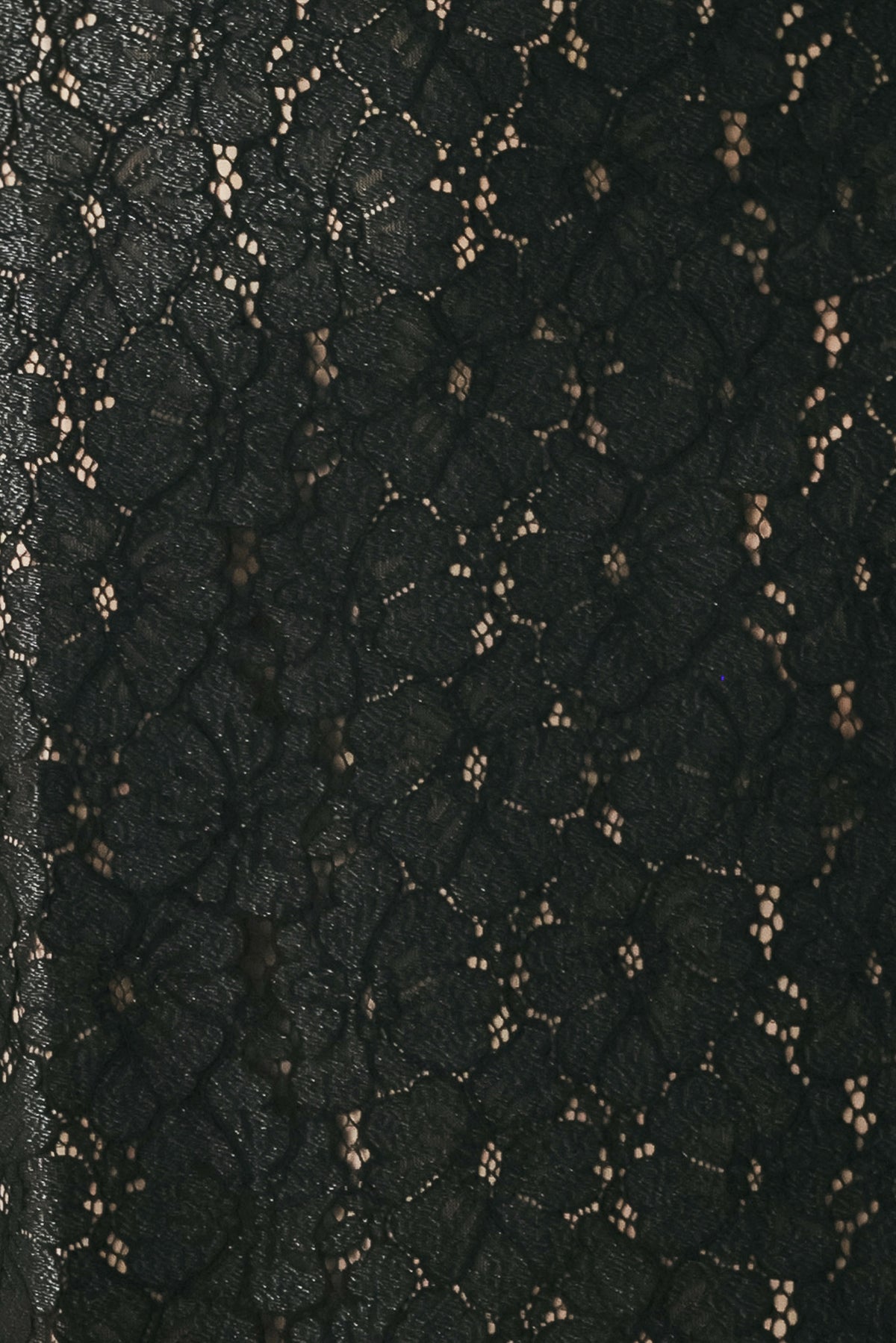 Woman wearing a black lace high waisted midi skirt with a nude base | FREEMARKET