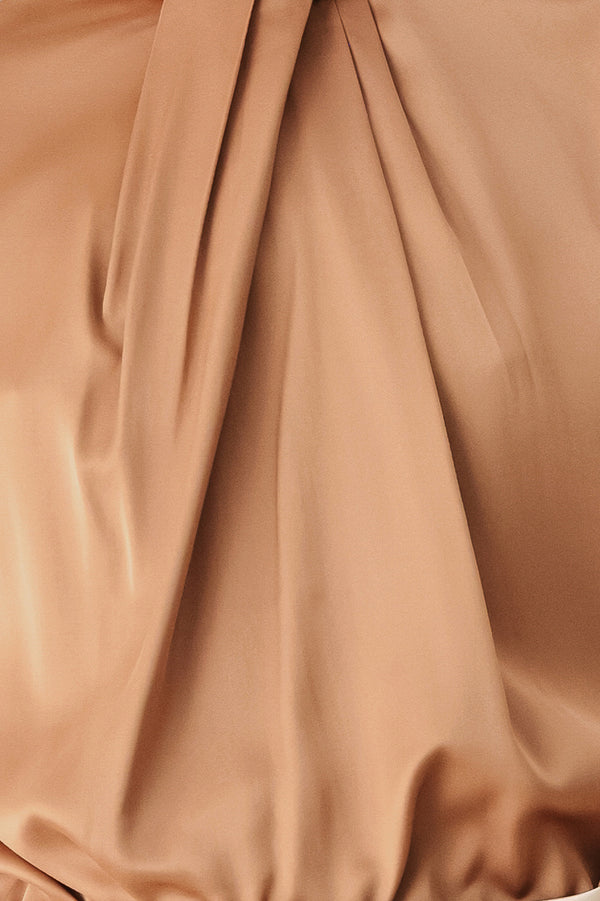 A woman wearing a bronze long-sleeve blouse with a gathered high neck and voluminous sleeves | FREEMARKET
