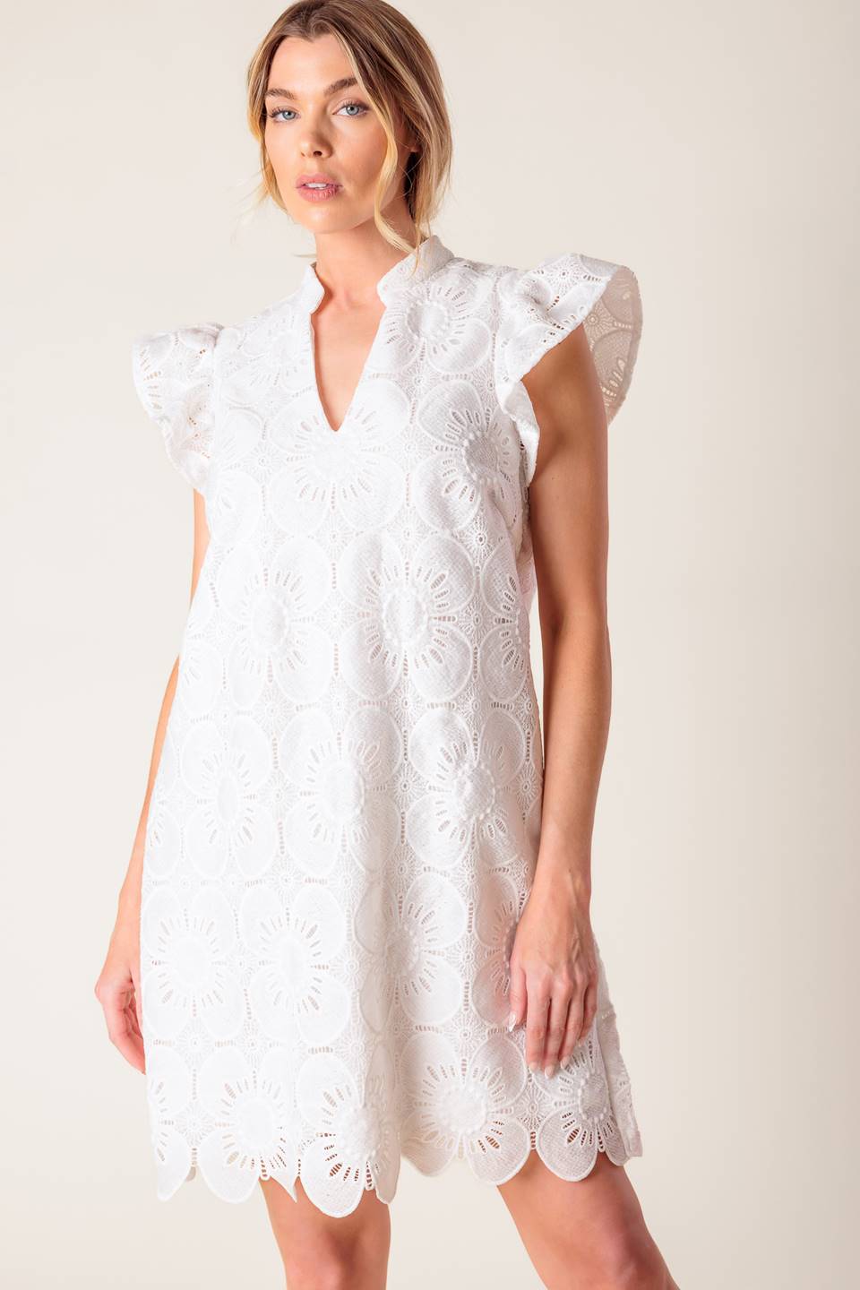 FLEETING WHISPERS LACE WOVEN MINI DRESS