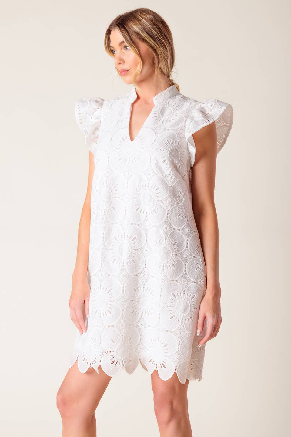 FLEETING WHISPERS LACE WOVEN MINI DRESS