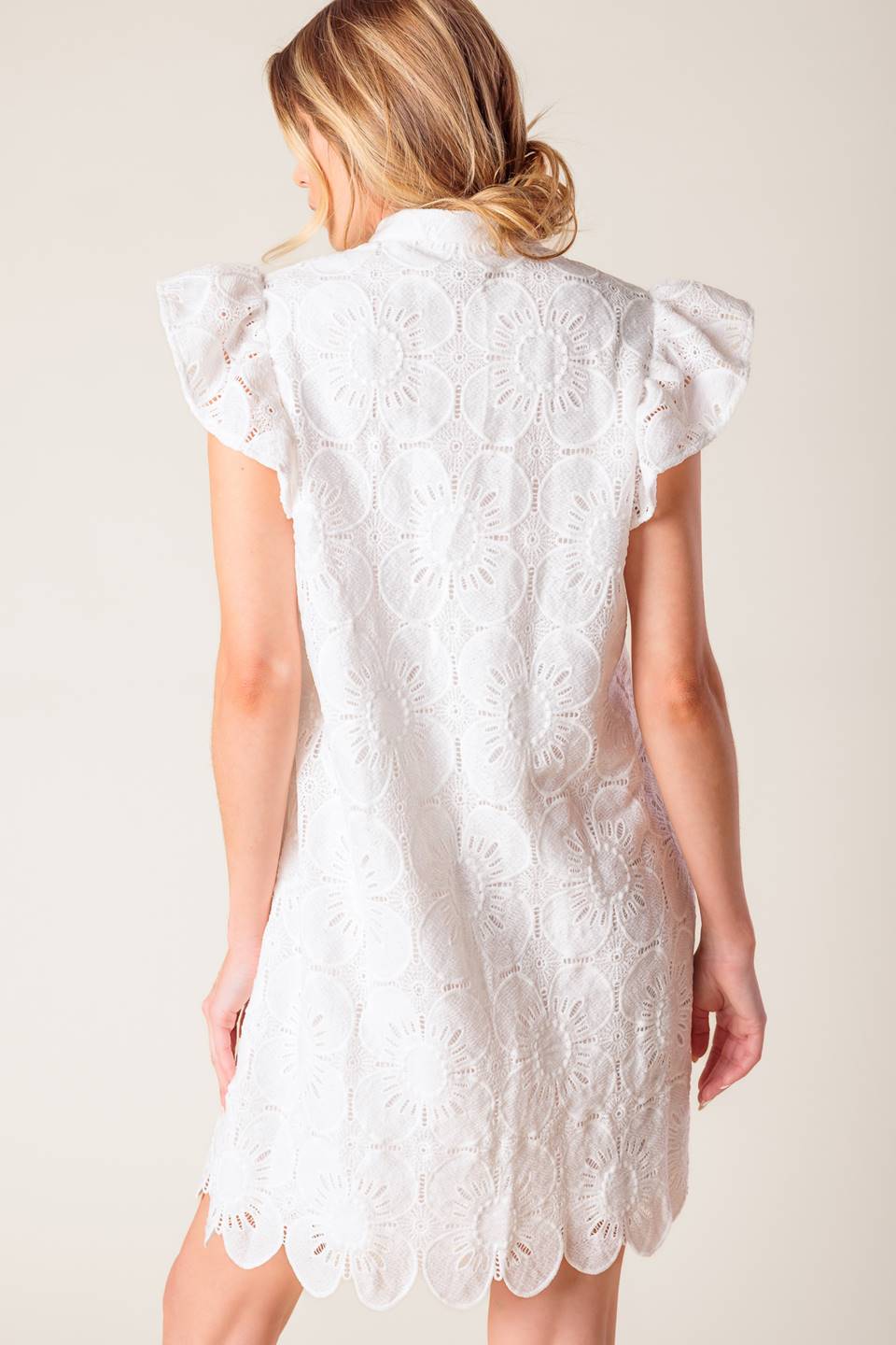 FLEETING WHISPERS LACE WOVEN MINI DRESS