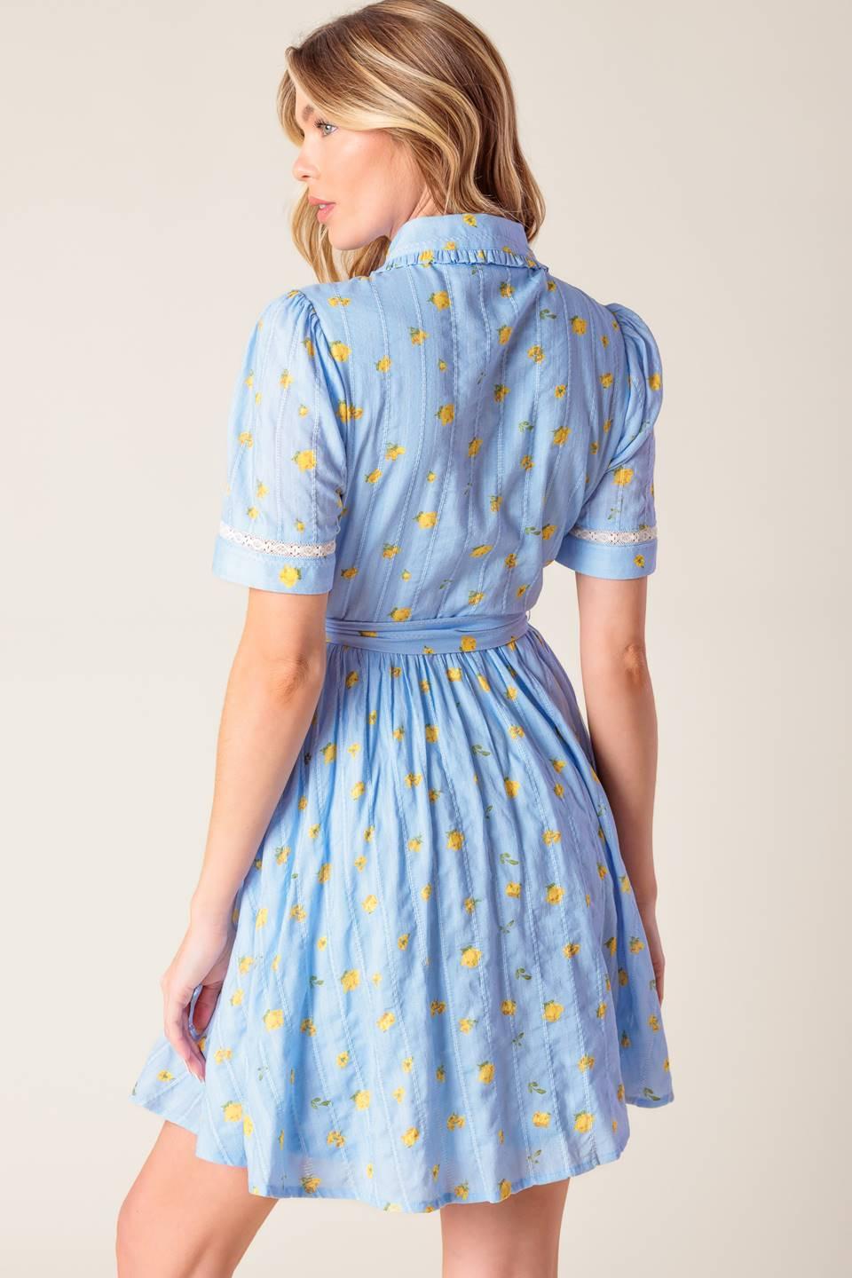 A blue printed woven mini dress featuring collar, button down, short sleeve, lace inset, self sash and full skirt on a white background | Flying Tomato