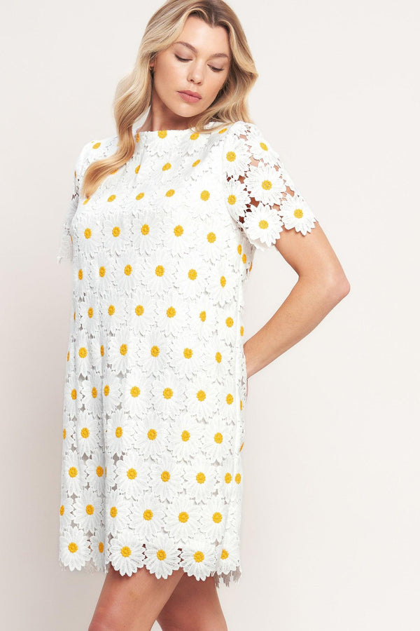 A woven lace mini shift dress with short sleeve and back button closure

Details:

Self: 100% Polyester

Lining: 100% Polyester

Size & Fit

-Model is 5`8" And Wearing Size Small 
-Measurements Taken From Size Small
-Approx. Length: 35"