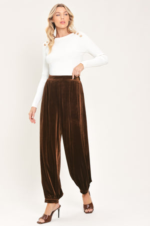 A person wearing high-waisted, loose brown velvet harem-style pants with gathered cuffs | Flying Tomato