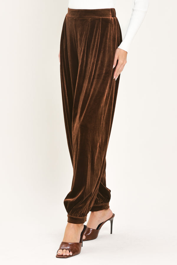 A person wearing high-waisted, loose brown velvet harem-style pants with gathered cuffs | Flying Tomato