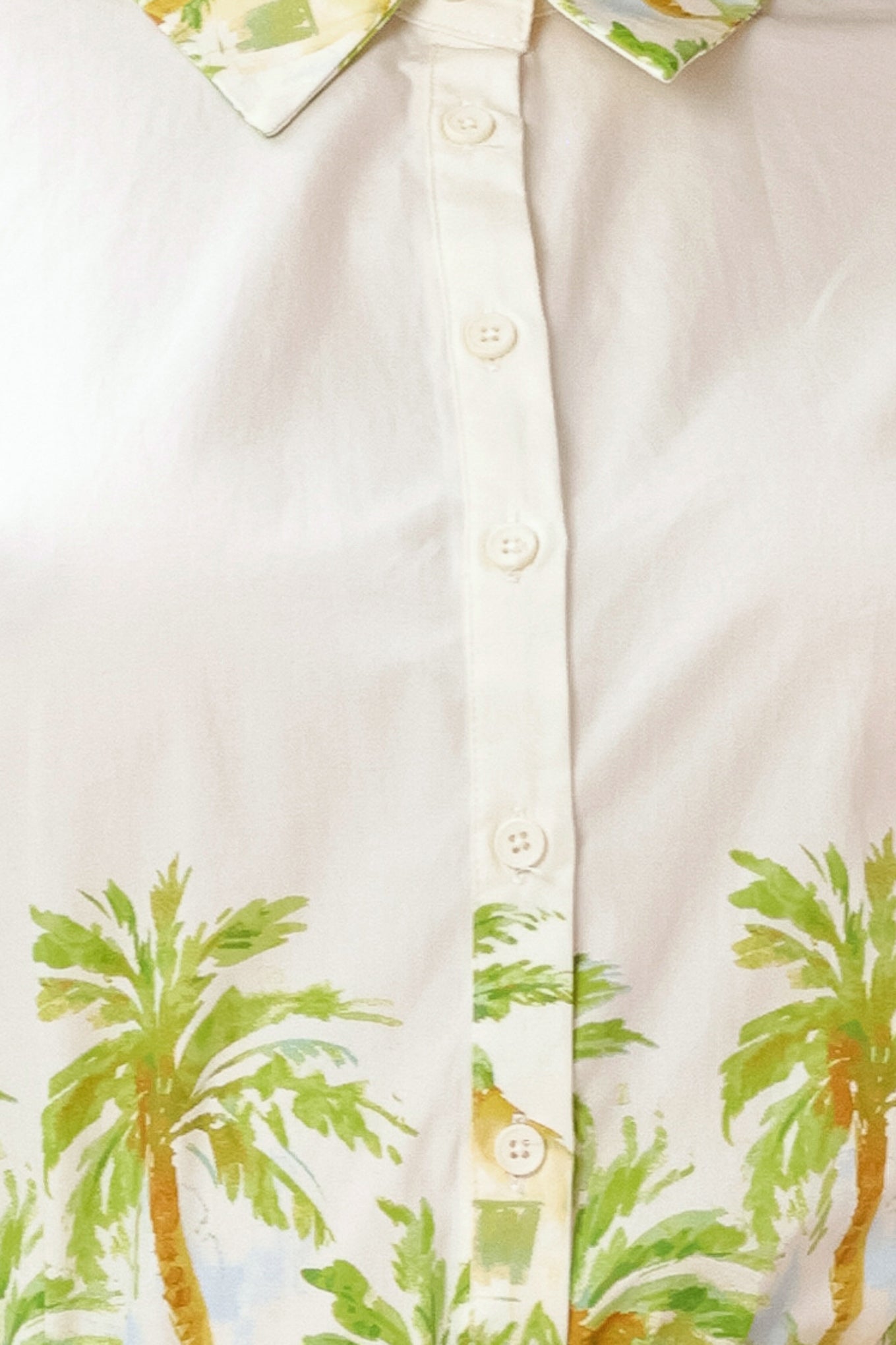 White shirt with palm tree design on a plain background | Flying Tomato