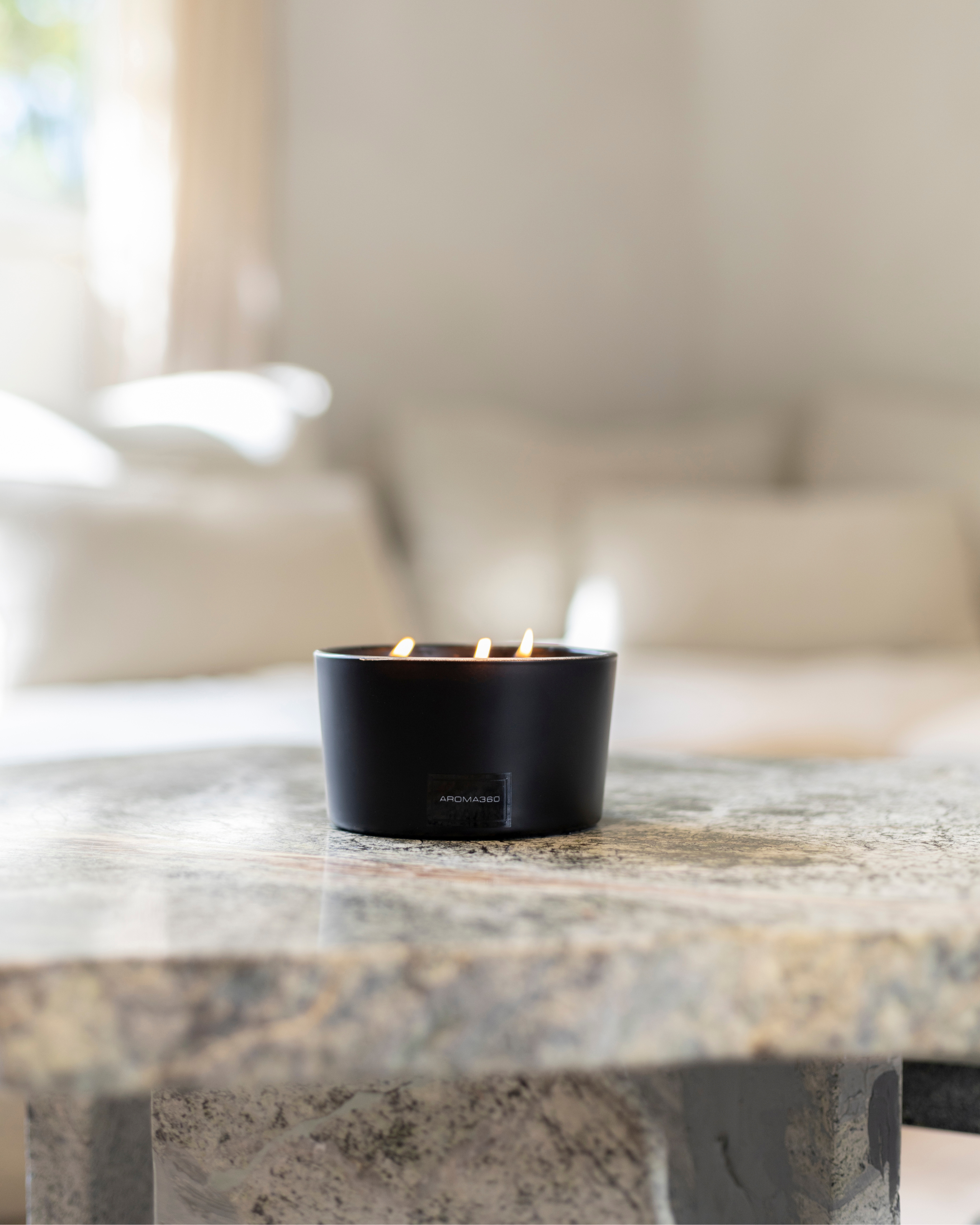 Déjà Vu 3-Wick Candle