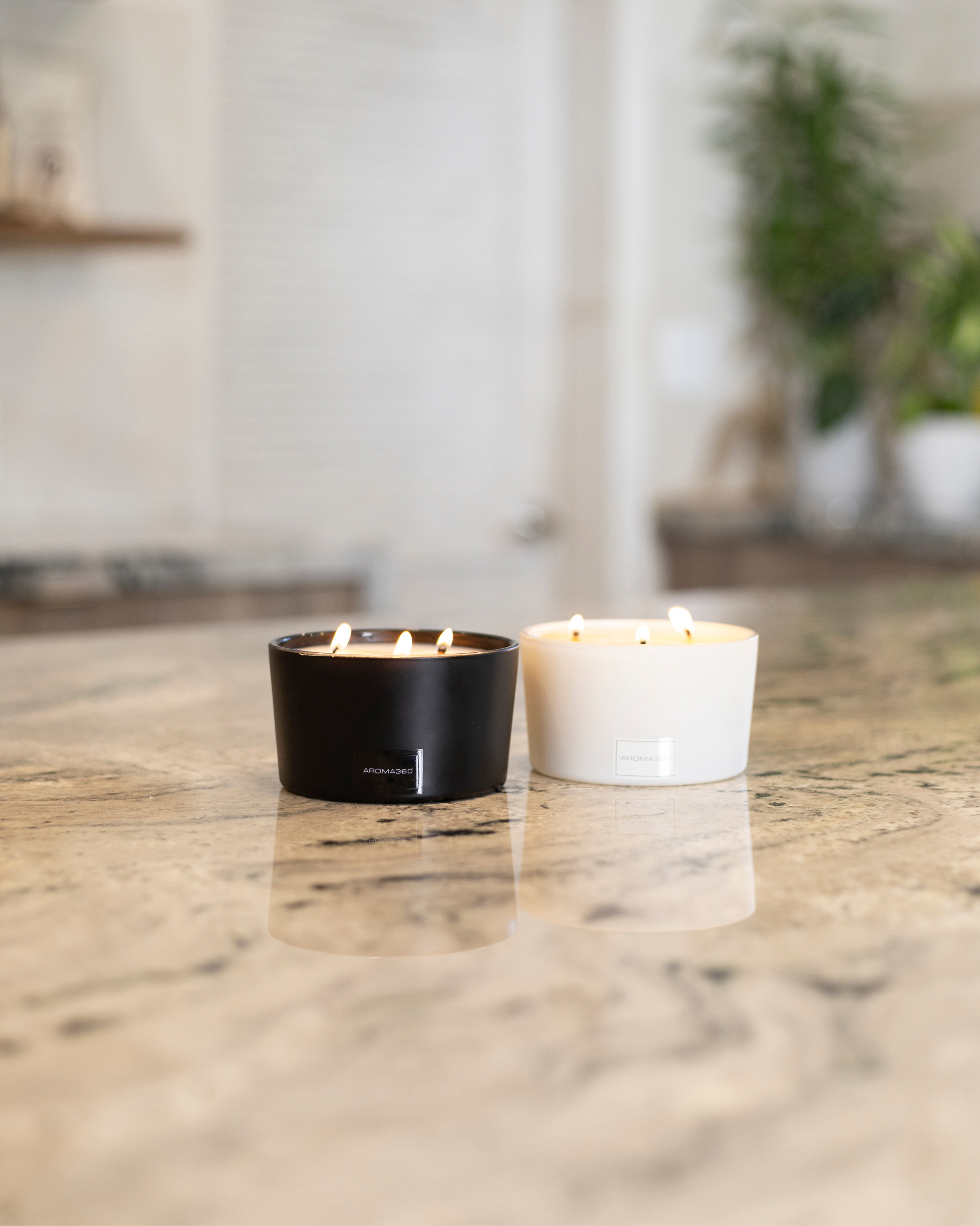 Déjà Vu 3-Wick Candle