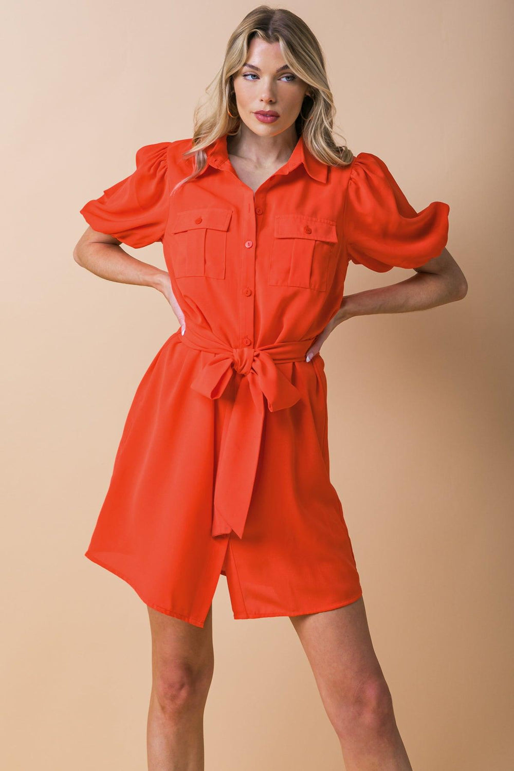 WISHFUL THINKING WOVEN SHIRT DRESS.